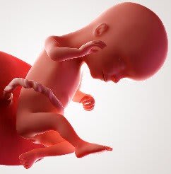 Zwangerschap 16 weken