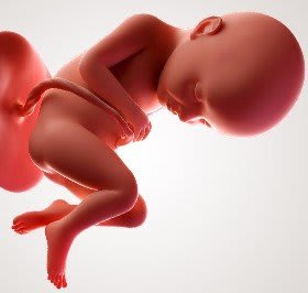 Zwangerschap 32 weken